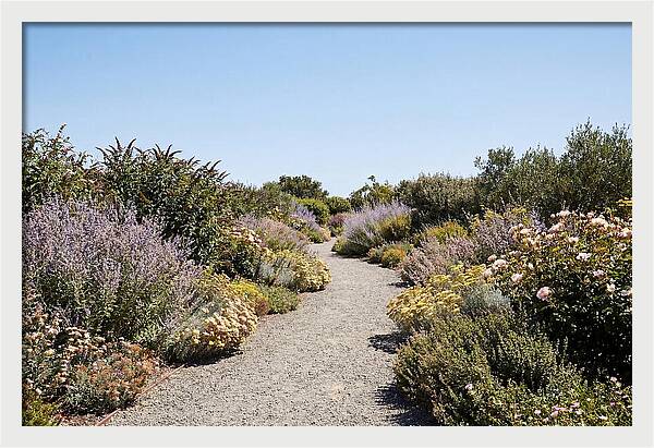 Flower Garden Pathway Lined In Blooms