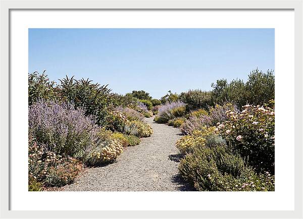 Flower Garden Pathway Lined In Blooms