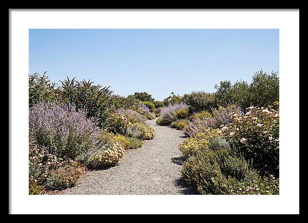 Flower Garden Pathway Lined In Blooms