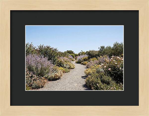 Flower Garden Pathway Lined In Blooms