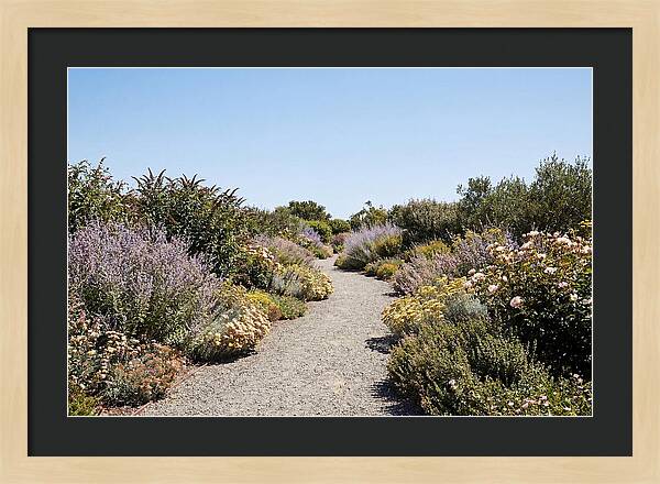Flower Garden Pathway Lined In Blooms