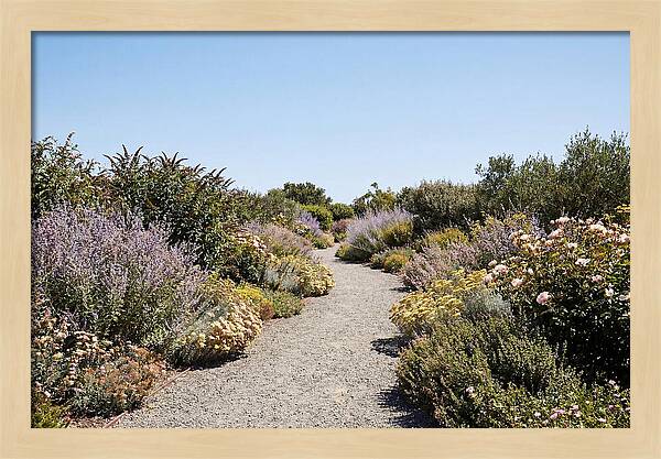 Flower Garden Pathway Lined In Blooms