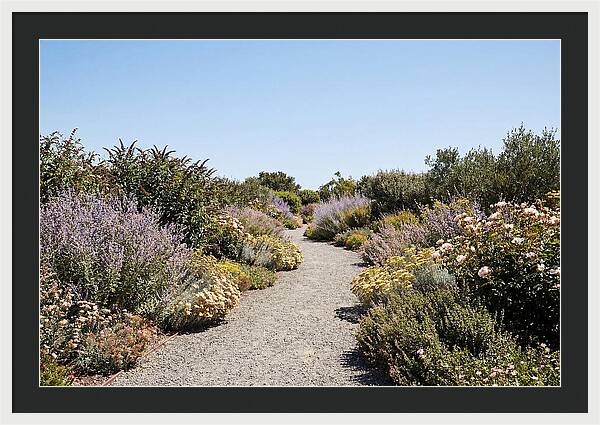Flower Garden Pathway Lined In Blooms