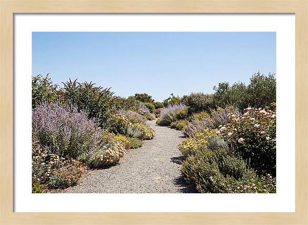 Flower Garden Pathway Lined In Blooms
