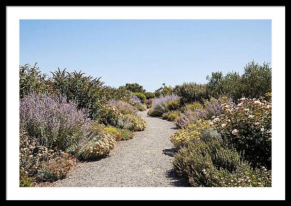 Flower Garden Pathway Lined In Blooms