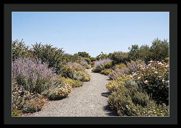Flower Garden Pathway Lined In Blooms