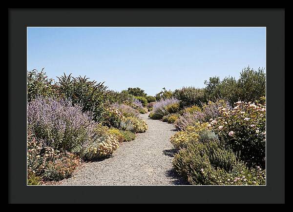Flower Garden Pathway Lined In Blooms