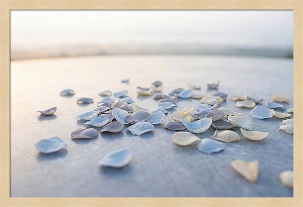 Flower Petal Confetti