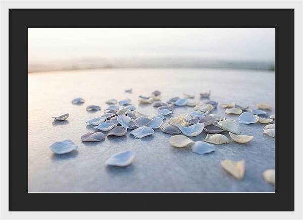 Flower Petal Confetti