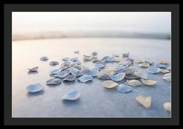 Flower Petal Confetti