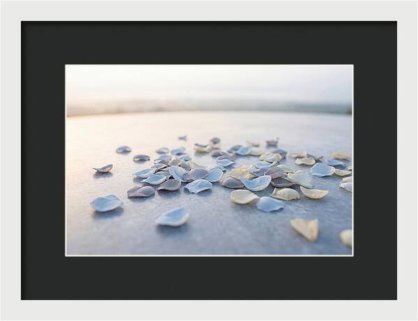 Flower Petal Confetti