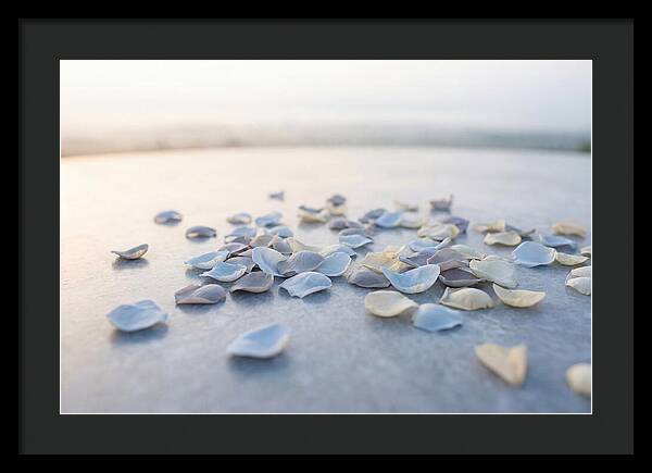 Flower Petal Confetti