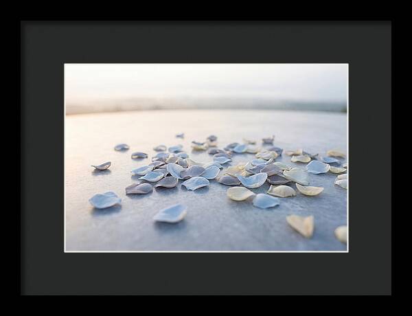 Flower Petal Confetti
