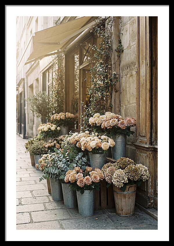 Flower Shop Blooms