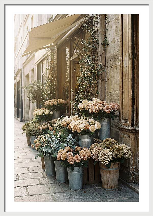 Flower Shop Blooms