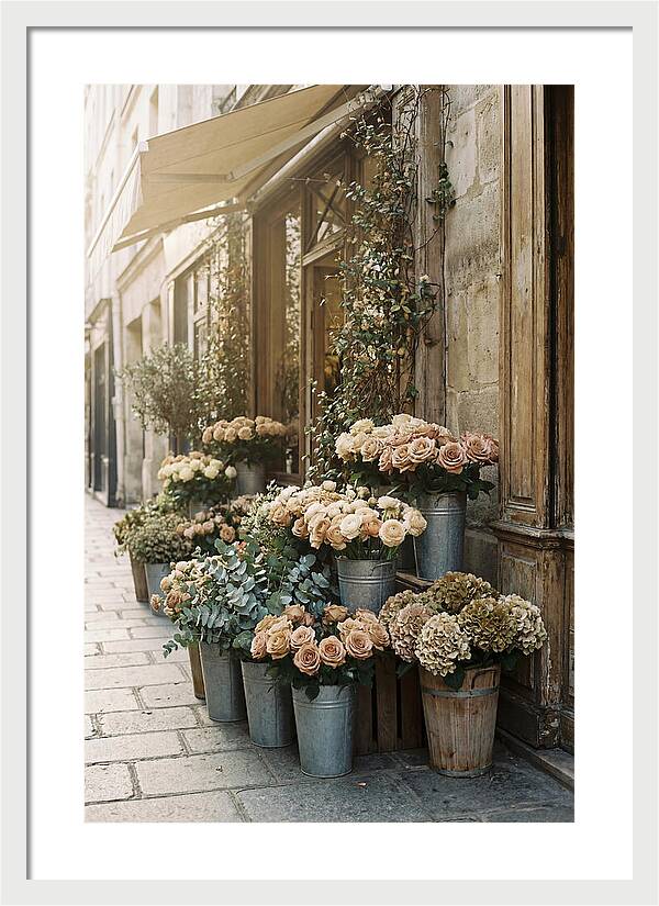 Flower Shop Blooms