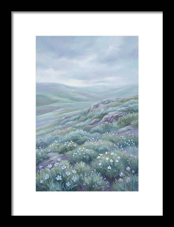 Flowering Alpine Tundra Above Treeline