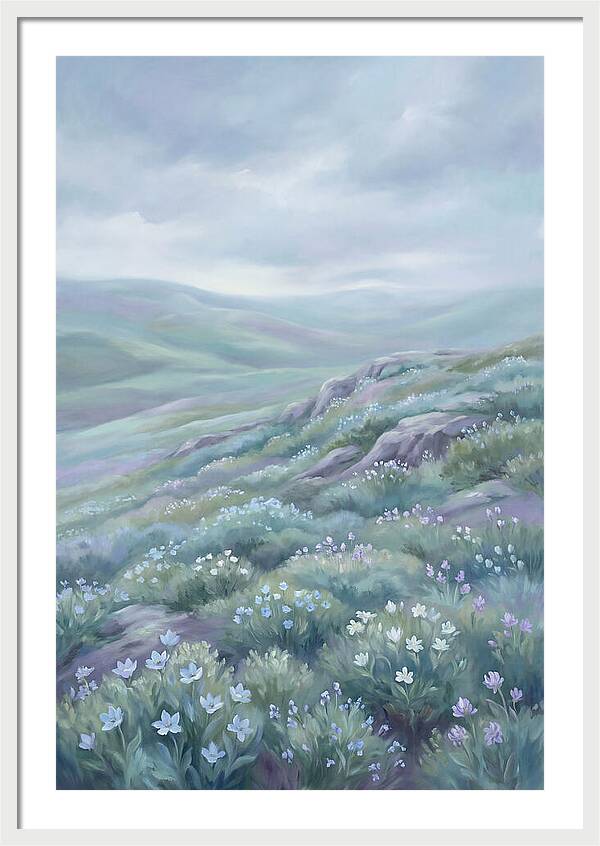 Flowering Alpine Tundra Above Treeline