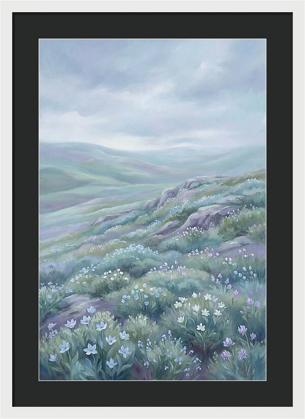 Flowering Alpine Tundra Above Treeline