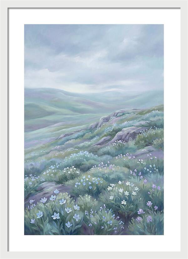 Flowering Alpine Tundra Above Treeline