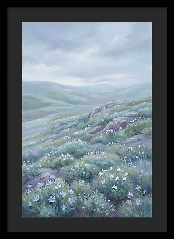 Flowering Alpine Tundra Above Treeline