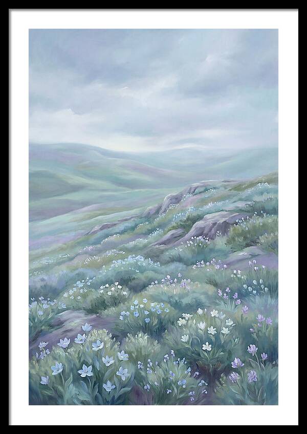 Flowering Alpine Tundra Above Treeline
