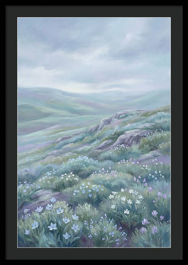 Flowering Alpine Tundra Above Treeline
