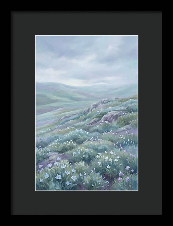Flowering Alpine Tundra Above Treeline
