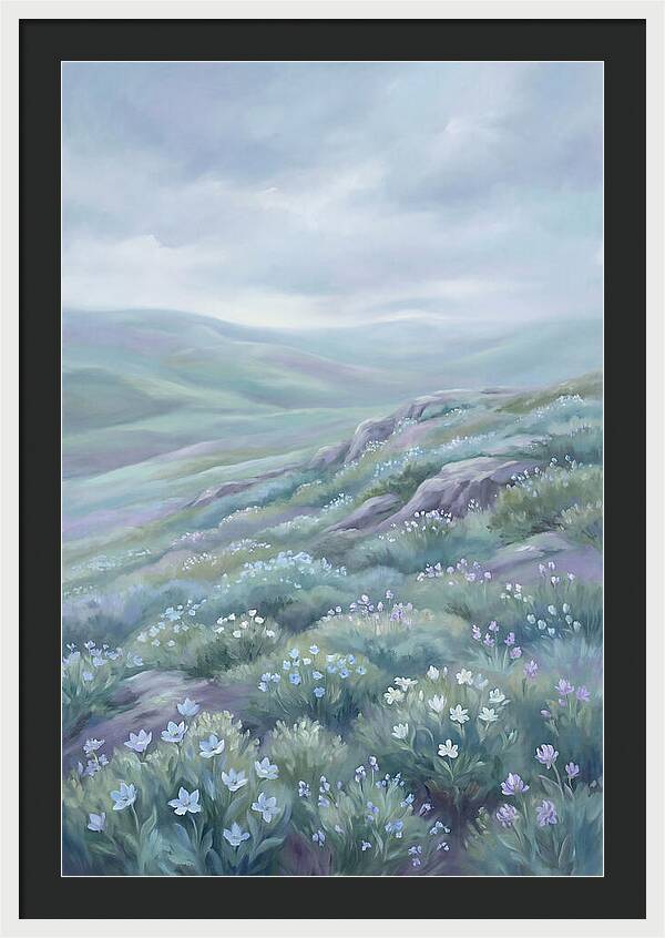 Flowering Alpine Tundra Above Treeline