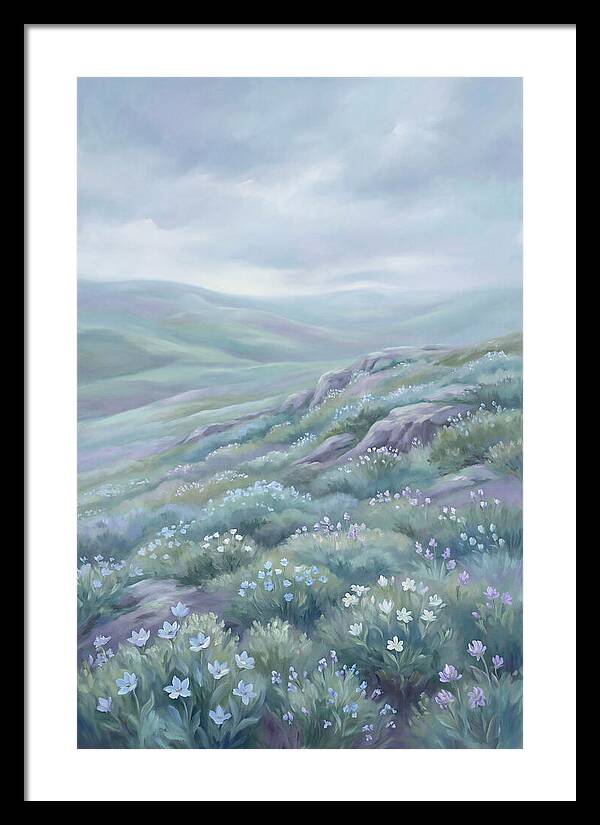 Flowering Alpine Tundra Above Treeline