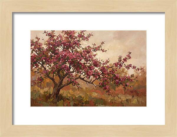 Flowering Crabapple Blossom