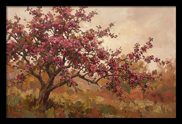 Flowering Crabapple Blossom