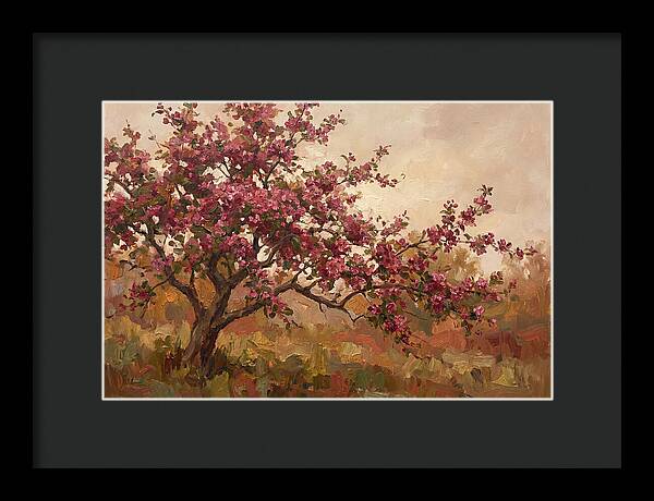 Flowering Crabapple Blossom