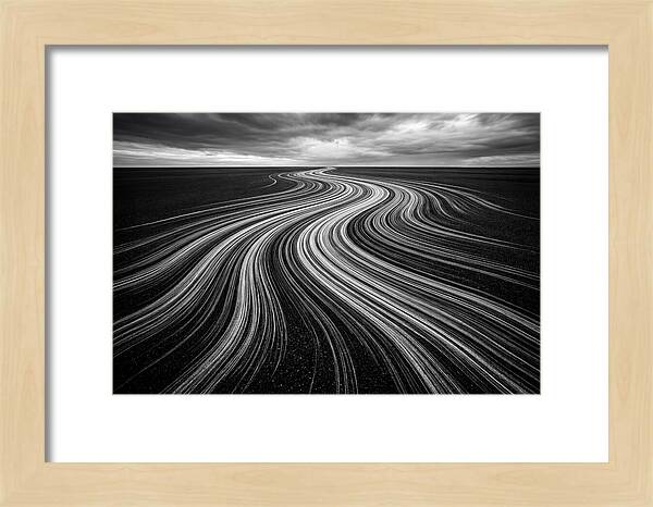 Flowing Digital Brush Strokes