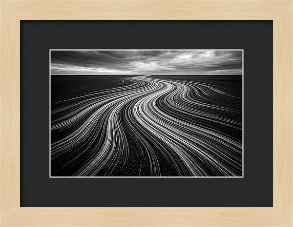 Flowing Digital Brush Strokes