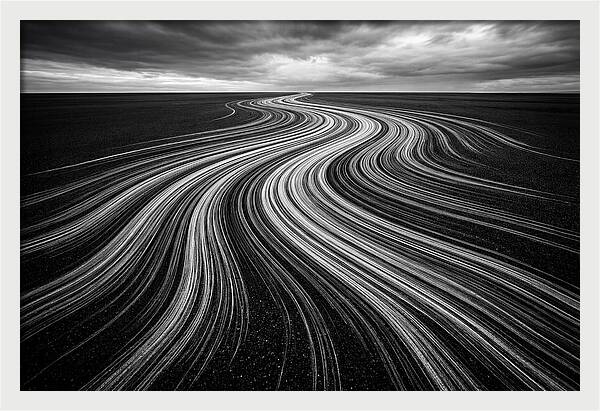 Flowing Digital Brush Strokes