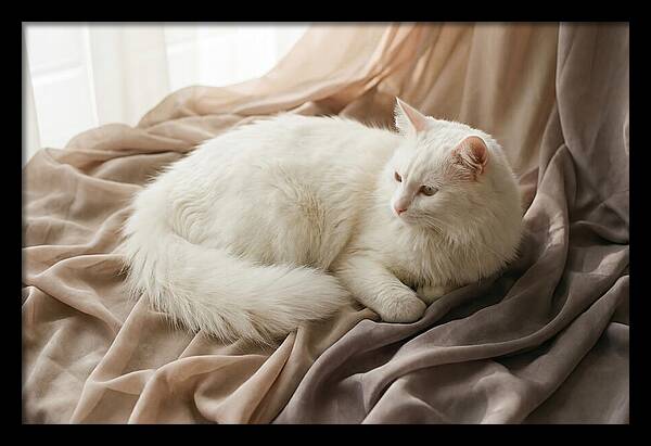 Fluffy White Turkish Angora