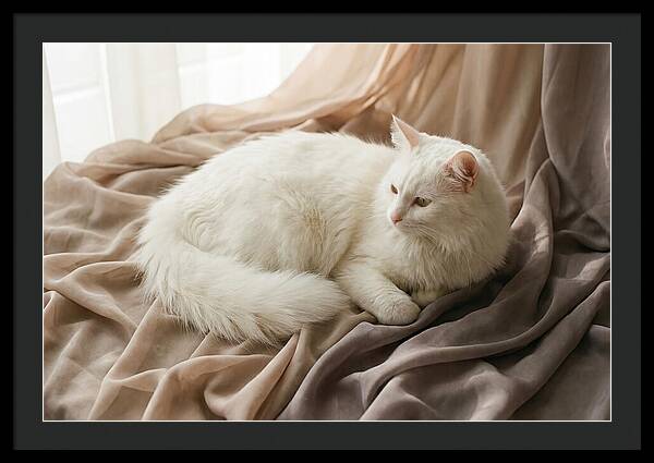 Fluffy White Turkish Angora