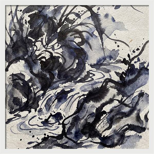Fluid Ink Patterns