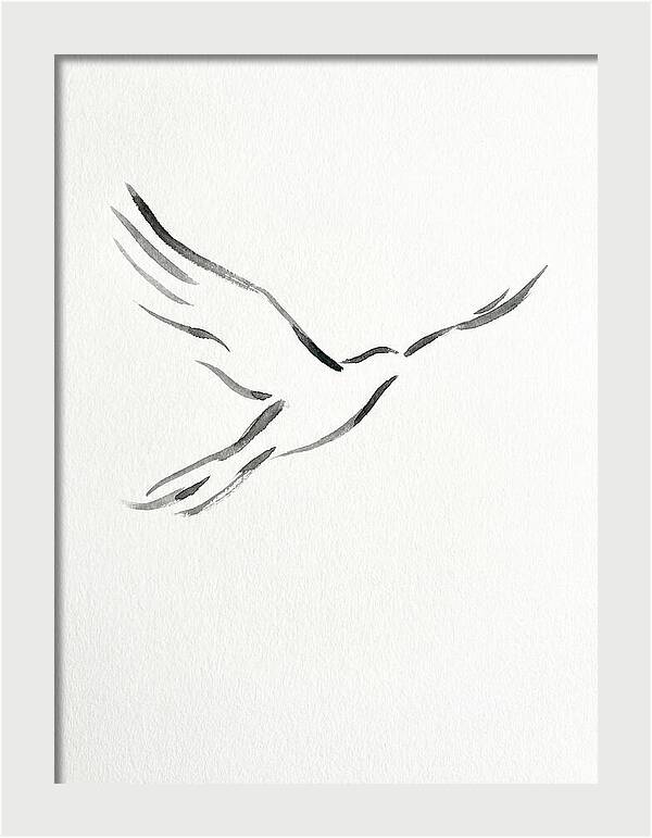 Flying Bird Silhouette