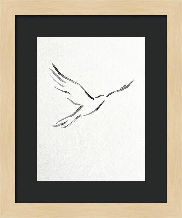 Flying Bird Silhouette