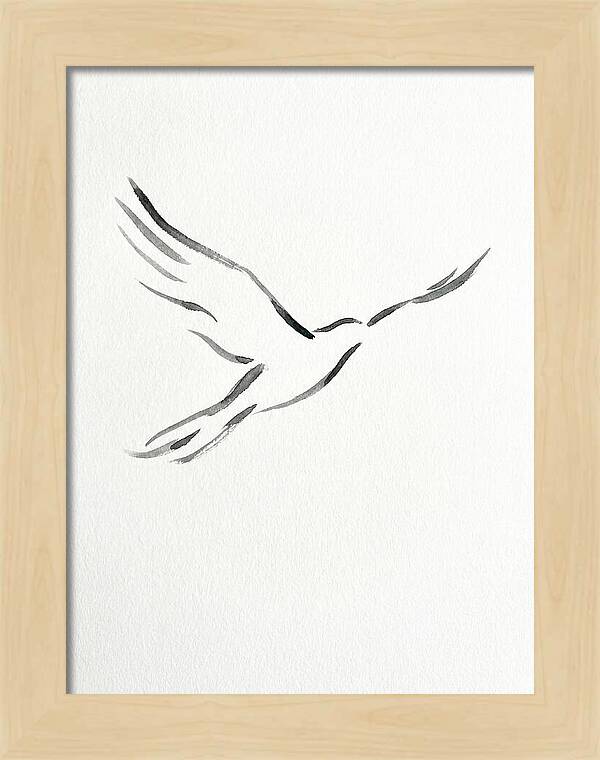 Flying Bird Silhouette