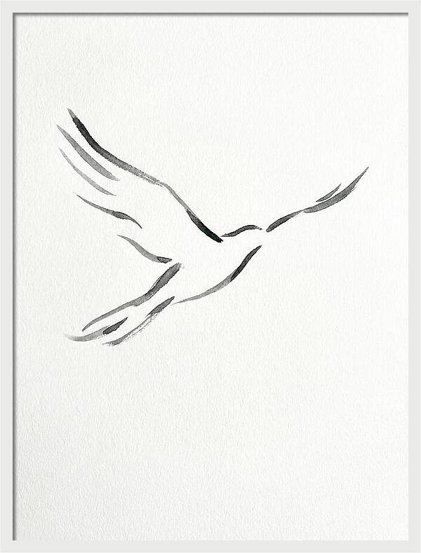 Flying Bird Silhouette