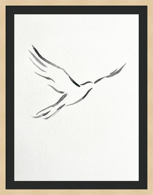 Flying Bird Silhouette