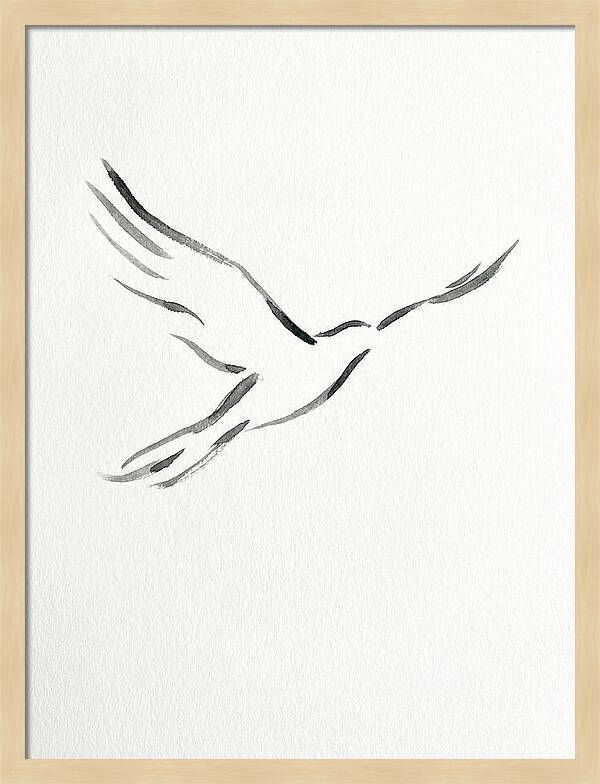 Flying Bird Silhouette