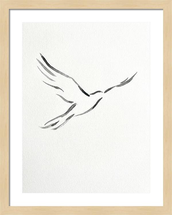 Flying Bird Silhouette