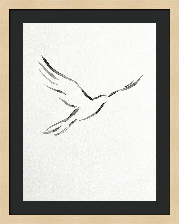 Flying Bird Silhouette