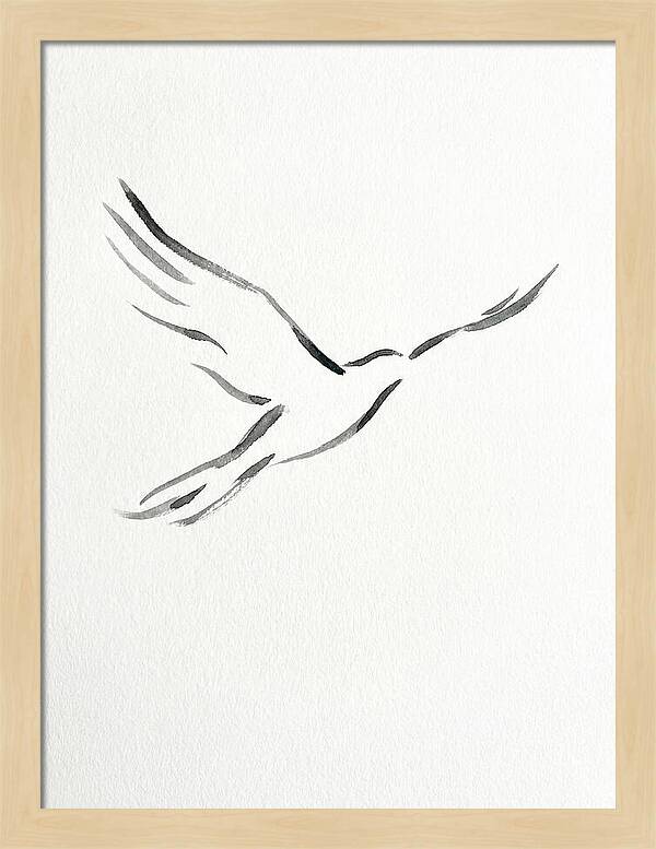 Flying Bird Silhouette