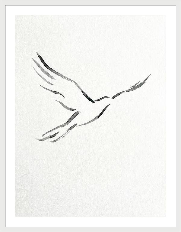 Flying Bird Silhouette