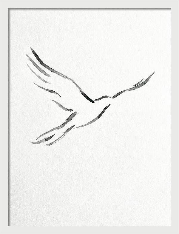 Flying Bird Silhouette
